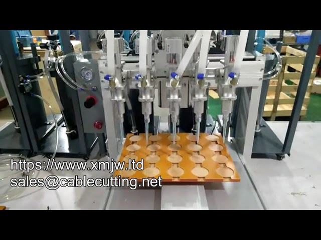 Nagy sebességű, 5 literes nyomástartós 5-fejes automatikus ragasztóadagoló robot
