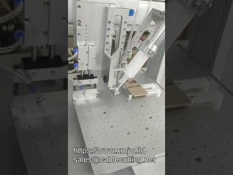Automata epoxi ragasztóadagoló robot 50 ml AB 11-21 - Precíz kétkomponensű adagolás szívófejjel