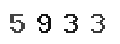 Verification Code Image